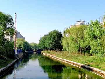 lotcoin价格